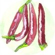 red chillies watercolour, sense of sight